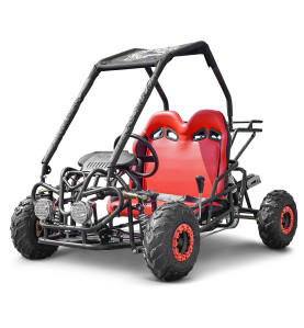 Buggy enfant 110cc 2 places 