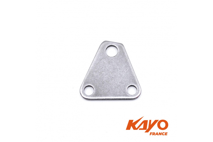 Plaque de support inverseur quad KAYO 150