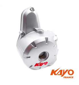 01// CARTER D'ALLUMAGE QUAD KAYO 110 125 2020