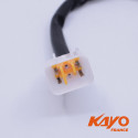REGULATEUR DE TENSION KAYO 250 K2