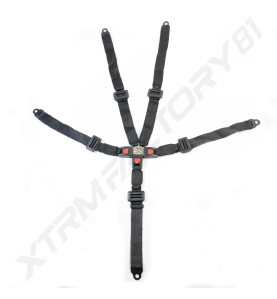 54// CEINTURE COMPLETE BUGGY 160CC/BLAZER 200 CC