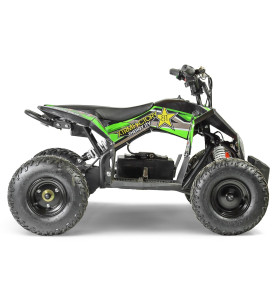 Quad électrique 1300W DYNOSTAR