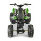 Quad électrique 1300W DYNOSTAR Quad électrique 1300W DYNOSTAR