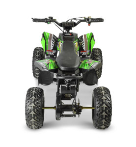 Quad électrique 1300W DYNOSTAR