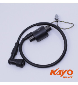 07// BOBINE HT + ANTIPARASITE QUAD KAYO