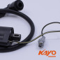 07// BOBINE HT + ANTIPARASITE QUAD KAYO