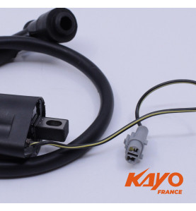 07// BOBINE HT + ANTIPARASITE QUAD KAYO