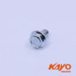 04// VIS HEXA M6*16 KAYO 250 T4