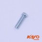 16// VIS TENDEUR CHAINE M8*40 KAYO 250 T4