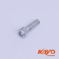 02// VIS CHC 6*20 KAYO 250 T4