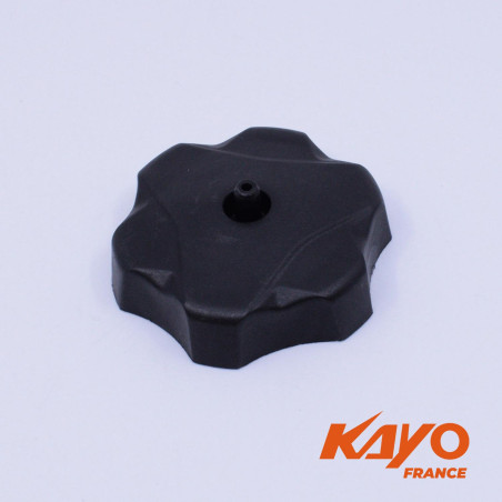 09// BOUCHON RÉSERVOIR KAYO 250 T4