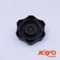 09// BOUCHON RÉSERVOIR KAYO 250 T4