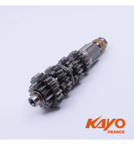40// ARBRE PRIMAIRE KAYO 250 T4