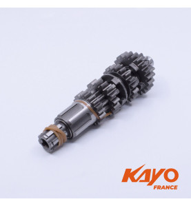 40// ARBRE PRIMAIRE KAYO 250 T4
