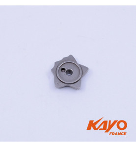 17// ÉTOILE DE SÉLECTION KAYO 250 T4