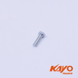 flange bolt