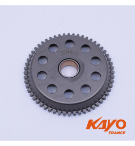 07// PLATINE DÉMARREUR KAYO 250 T4