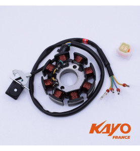 01// STATOR ALLUMAGE KAYO 250 T4