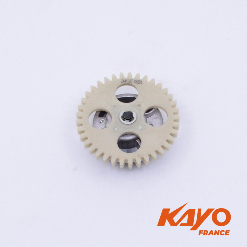 23// POMPE À HUILE KAYO 250 T4