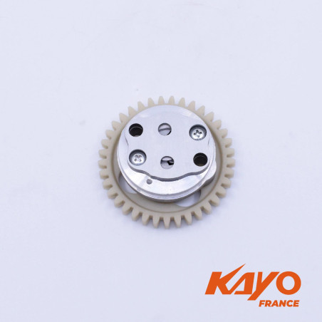 23// POMPE À HUILE KAYO 250 T4