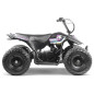Mini pocket quad enfant électrique 250W MONSTER QUAD Mini pocket quad enfant électrique 250W MONSTER QUAD