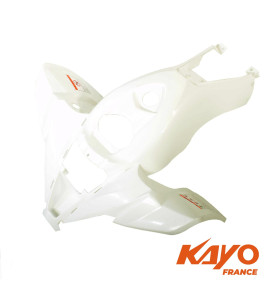 01// CARENAGE AV KAYO PREDATOR 110