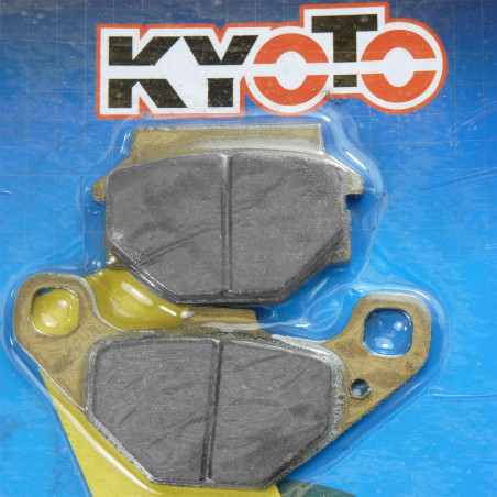 Plaquette Shineray 250cc arrière