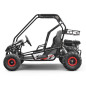 Buggy 212cc enfant 2 places PANTHER Buggy 212cc enfant 2 places PANTHER