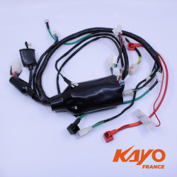 Pièces pour machines Kayo  Faisceau quad KAYO 110