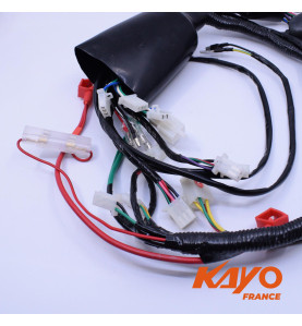 01// FAISCEAU QUAD KAYO 110 2020