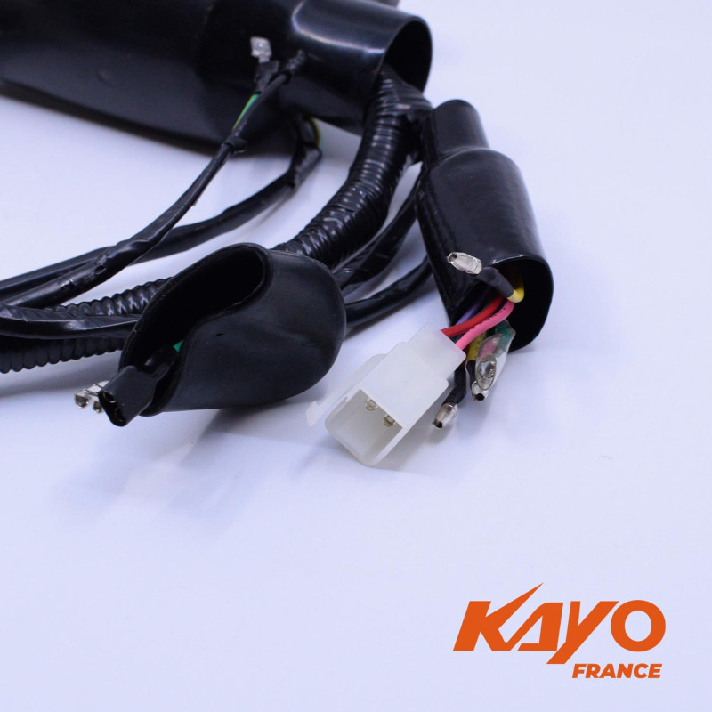 01// FAISCEAU ELEC KAYO PRED 125 2020 - vue 3