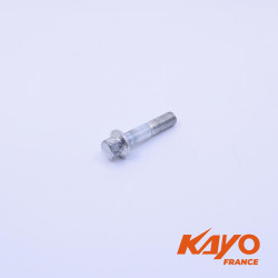 K / Amortisseur arrière  12/ flange lock nut