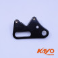 01// rear brake bracket
