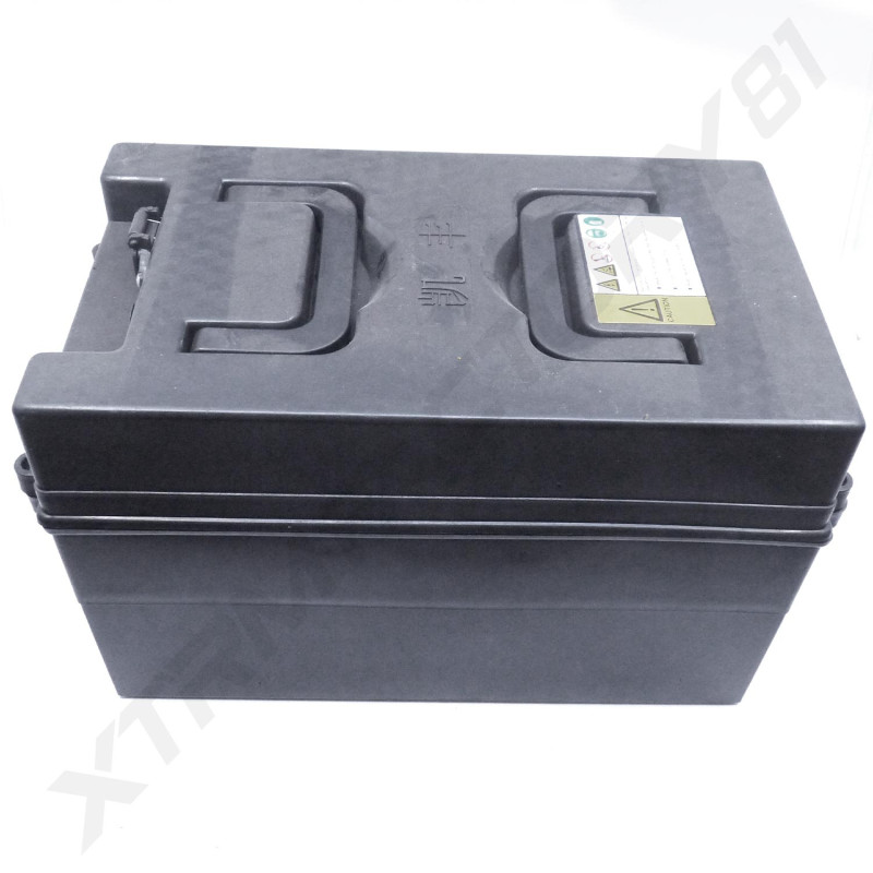 10//  PACK BATTERIES 48V 12AH