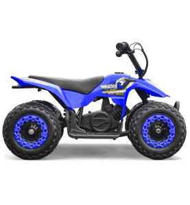 Mini pocket quad enfant électrique 250W - MONSTER QUAD