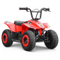 Mini pocket quad enfant électrique 250W MONSTER QUAD Mini pocket quad enfant électrique 250W MONSTER QUAD