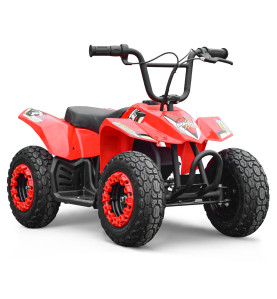 Mini pocket quad enfant électrique 250W - MONSTER QUAD