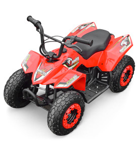 Mini pocket quad enfant électrique 250W - MONSTER QUAD