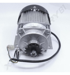 01//  MOTEUR SPEEDKART 1000W