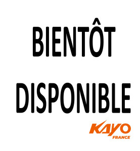 01// Chassis quad KAYO 110 125