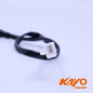 01// MAITRE CYLINDRE AR KAYO STORM A150