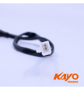 01// MAITRE CYLINDRE AR KAYO STORM A150