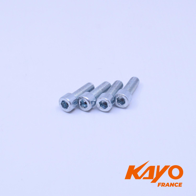 05// VIS BTR M8*25 KAYO    (X4)