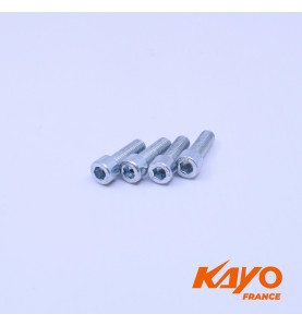 05// VIS BTR M8*25 KAYO    (X4)