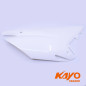 CARENAGE ARG 250 XTREM
