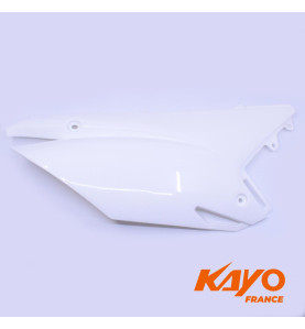 CARENAGE ARG 250 XTREM