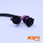 01// REGULATEUR DE TENSION KAYO 250 T4