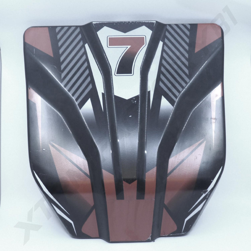 01// CARENAGE FRONTAL BUGGY PANTHER