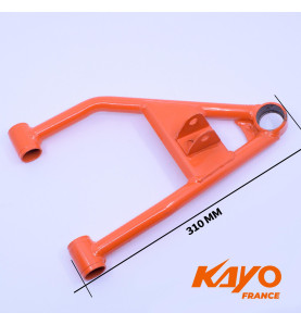 01// TRIANGLE INFERIEUR GAUCHE KAYO PRED 110/125