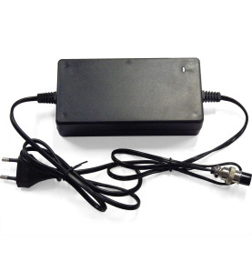 Chargeur quad électrique moto électrique 36V 500W 800W